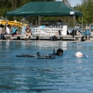 250409 Sprungtag 068.jpg