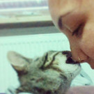 Screenshot_2014-09-18-11-01-24_1.jpg