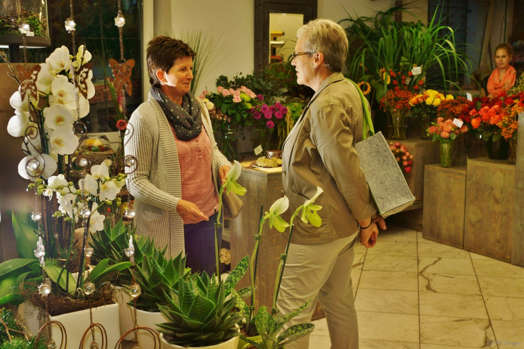 DSC08008 _Medium_.JPG