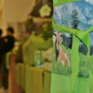 DSC08041 _Medium_.JPG