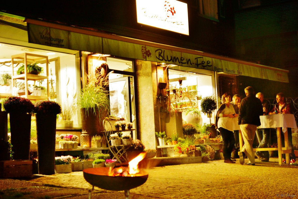 DSC08042 _Medium_.JPG