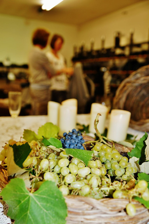 DSC08085 _Medium_.JPG