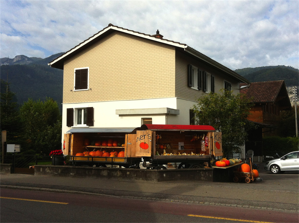 BK_Ku__rbiszeit in Oberriet 10.JPG