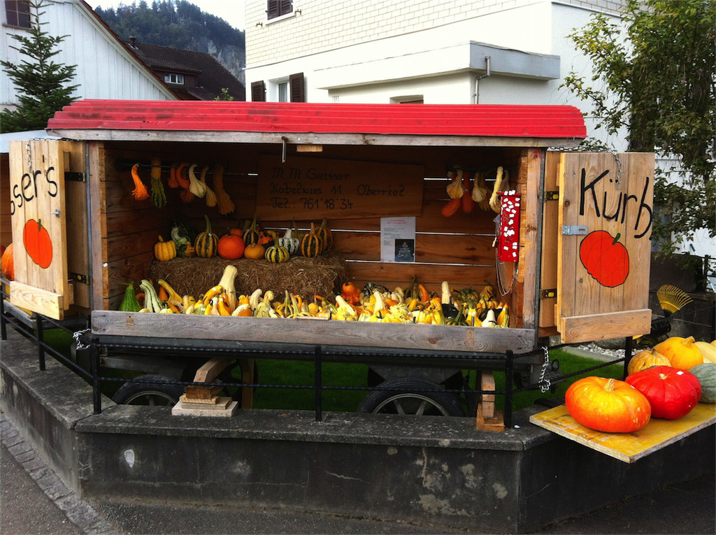 BK_Ku__rbiszeit in Oberriet.JPG