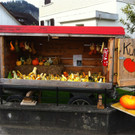 BK_Ku__rbiszeit in Oberriet.JPG