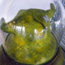 101_7959_jpg-1272726844