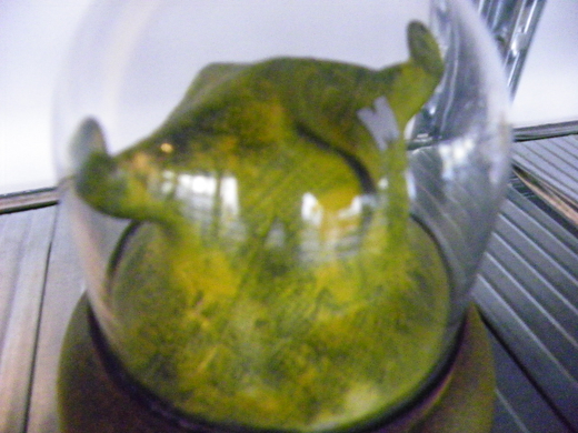 101_7959_jpg-1272726844