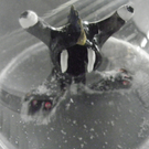 101_7986_jpg-1272726939