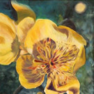 SCHWANDTER Gelbe Bluete Oel auf Platte 50x70.JPG