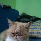 IMAG0938.jpg