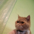 IMAG0063.jpg