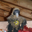 DSC_2839.JPG