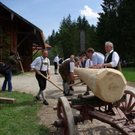 normal_01052010maibaumfmaktivnews_013.jpg