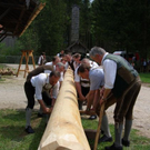 normal_01052010maibaumfmaktivnews_015.jpg