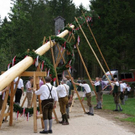 normal_01052010maibaumfmaktivnews_028.jpg