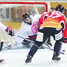 file6h4odhgc64z8kmaz1bf.jpg
