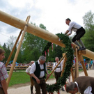 normal_01052010maibaumfmaktivnews_030.jpg