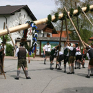 normal_01052010maibaumpidingaktivnewsnm15.jpg