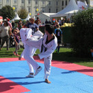 IMG_5996.JPG