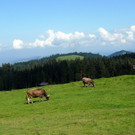 P1850880.JPG