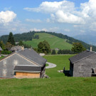 P1850917.JPG