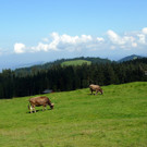P1850880.JPG