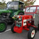 DSC08539.JPG