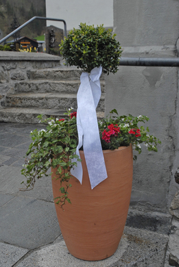 _DSC02800004_JPG-1272780990