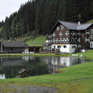 DSC_0030.JPG
