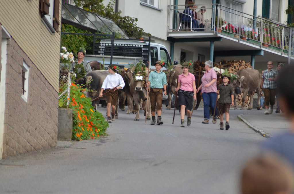 DSC_9083.JPG