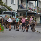 DSC_9088.JPG