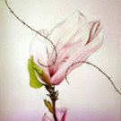 17 Bluete mit Stacheldraht 60x80 cm.jpg