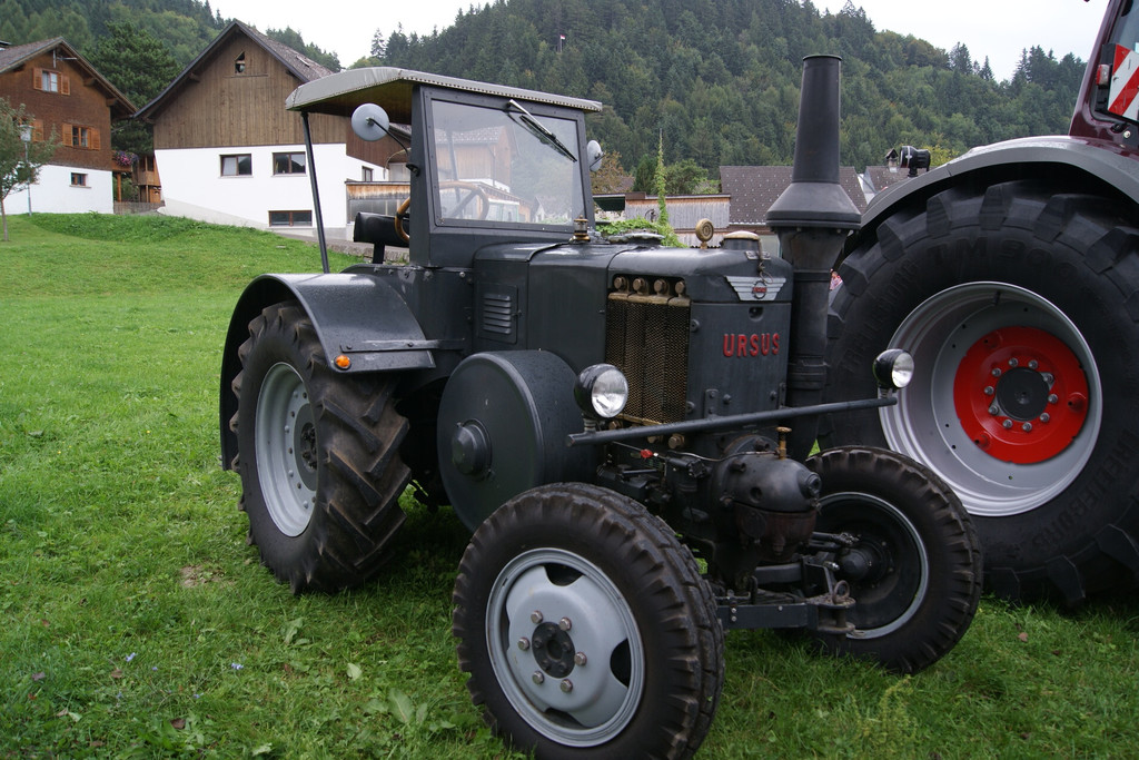 DSC08559.JPG