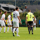 20140920_017_FCBizau_Pinzgau_weblight.JPG
