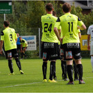 20140920_019_FCBizau_Pinzgau_weblight.JPG