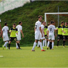 20140920_037_FCBizau_Pinzgau_weblight.JPG