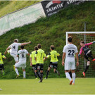 20140920_038_FCBizau_Pinzgau_weblight.JPG