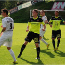 20140920_039_FCBizau_Pinzgau_weblight.JPG