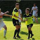 20140920_047_FCBizau_Pinzgau_weblight.JPG