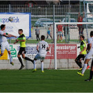 20140920_054_FCBizau_Pinzgau_weblight.JPG