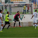 20140920_058_FCBizau_Pinzgau_weblight.JPG