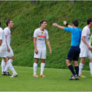 20140920_061_FCBizau_Pinzgau_weblight.JPG