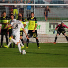20140920_074_FCBizau_Pinzgau_weblight.JPG