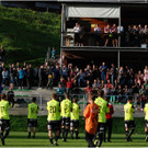 20140920_076_FCBizau_Pinzgau_weblight.JPG