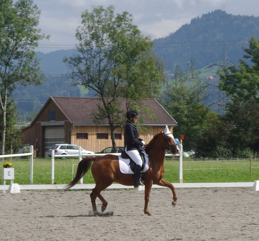 Vielseitigkeit Eichenhof 2014 178.JPG