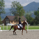 Vielseitigkeit Eichenhof 2014 178.JPG
