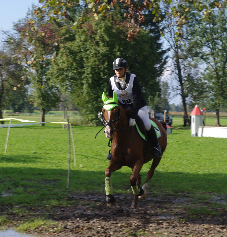 Vielseitigkeit Eichenhof 2014 307.JPG