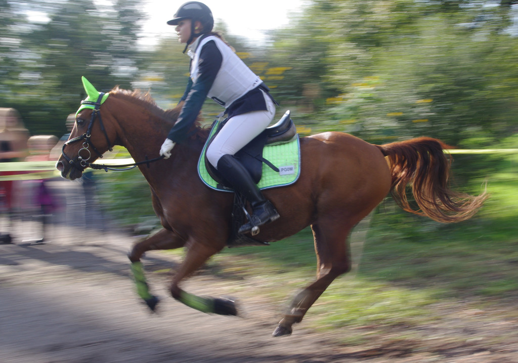 Vielseitigkeit Eichenhof 2014 312.JPG