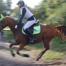 Vielseitigkeit Eichenhof 2014 312.JPG