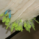 k-IMG_2315.JPG